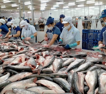 Ứng dụng cân điện tử thông minh trong chế biến thủy sản hiện đại