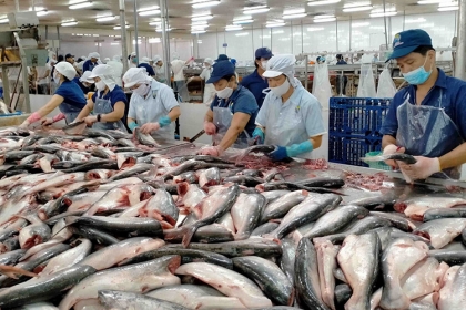 Ứng dụng cân điện tử thông minh trong chế biến thủy sản hiện đại